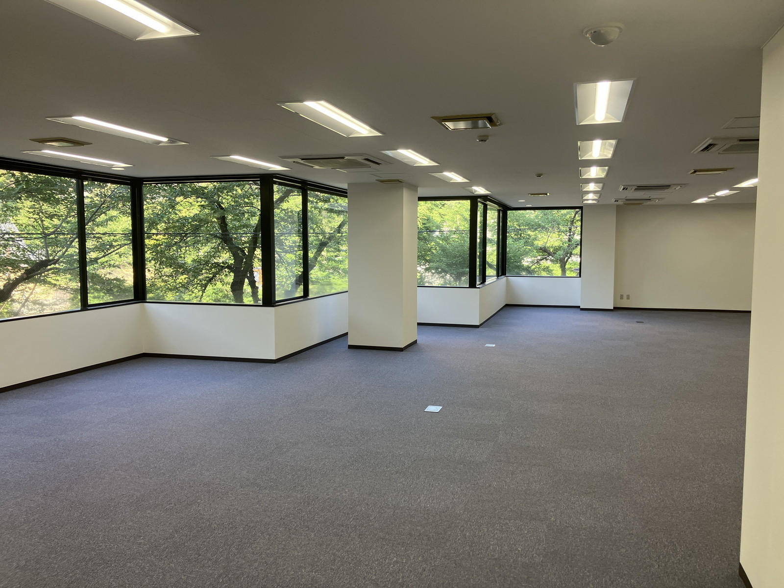 別角度の様子