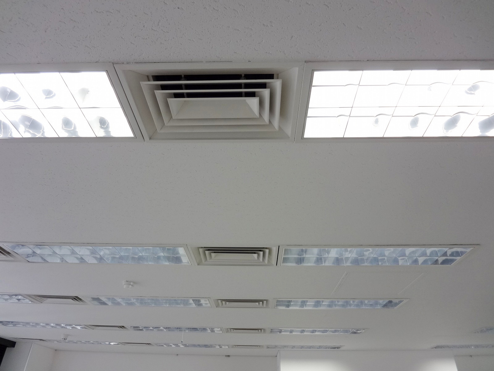 お部屋の雰囲気 画像13