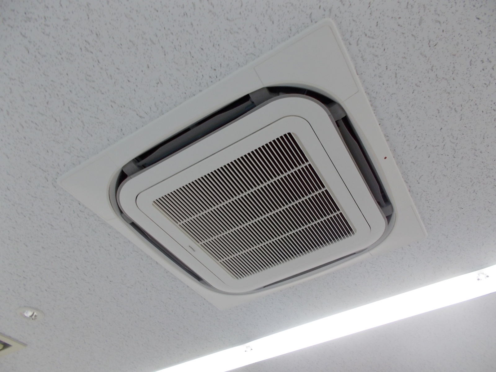 天井