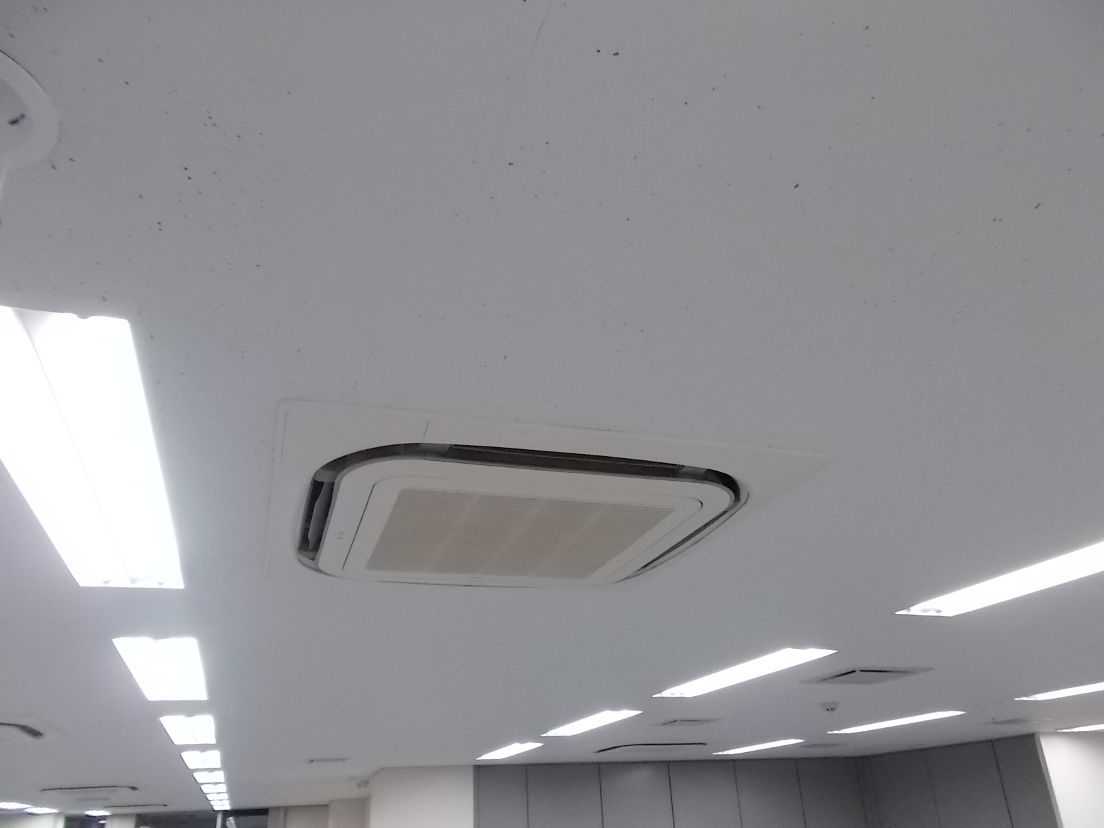 お部屋の雰囲気 画像7