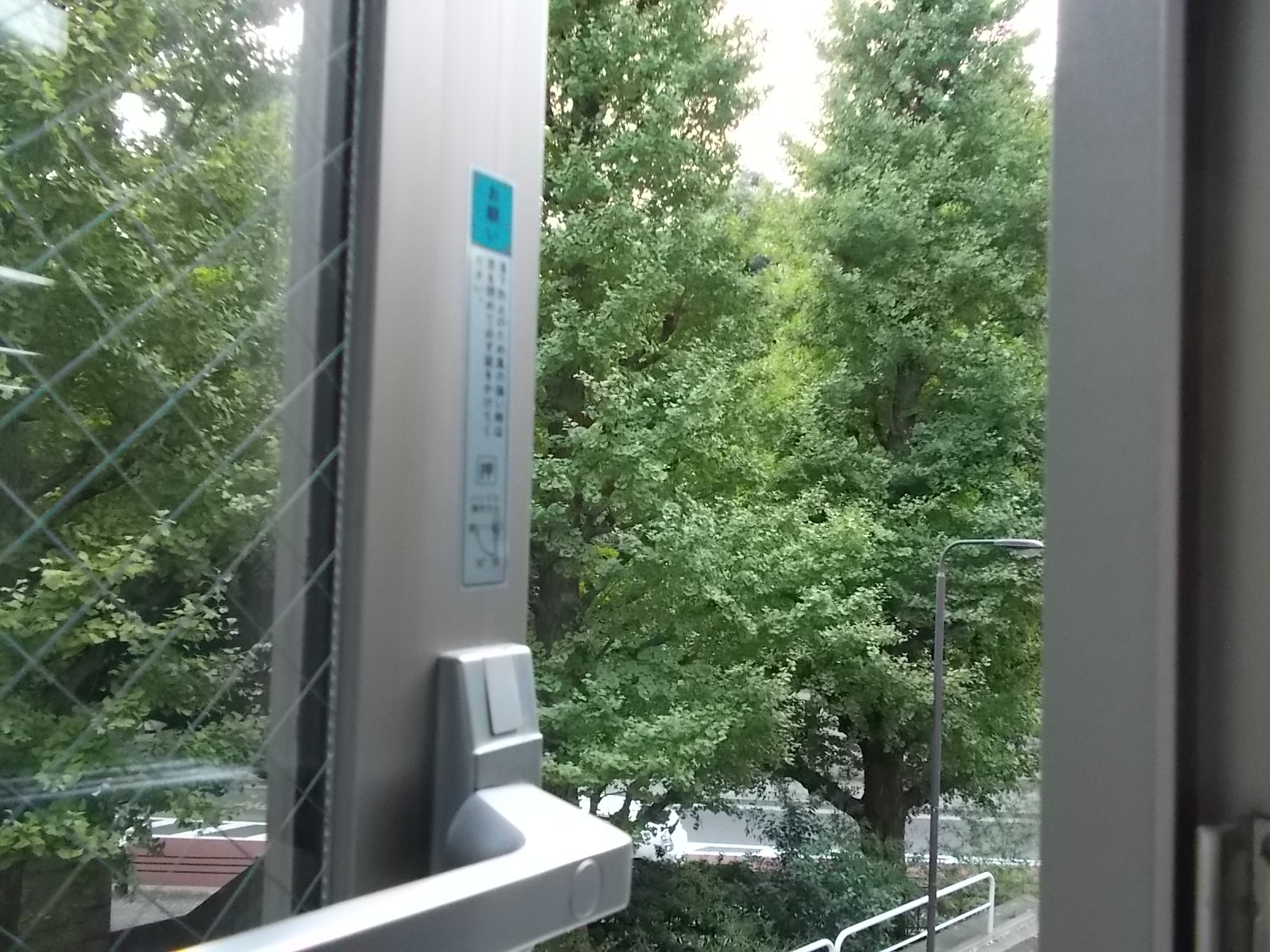 緑が気持ち良いです