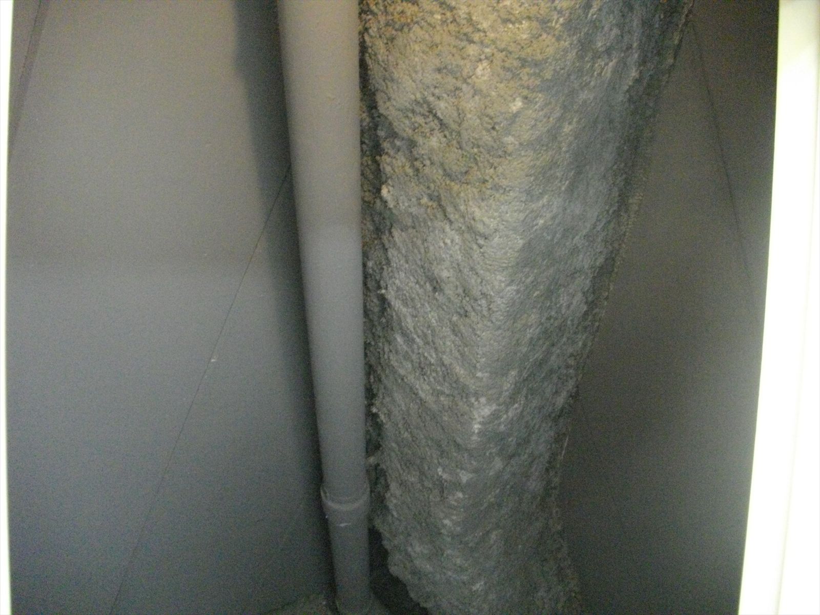 お部屋の雰囲気 画像9
