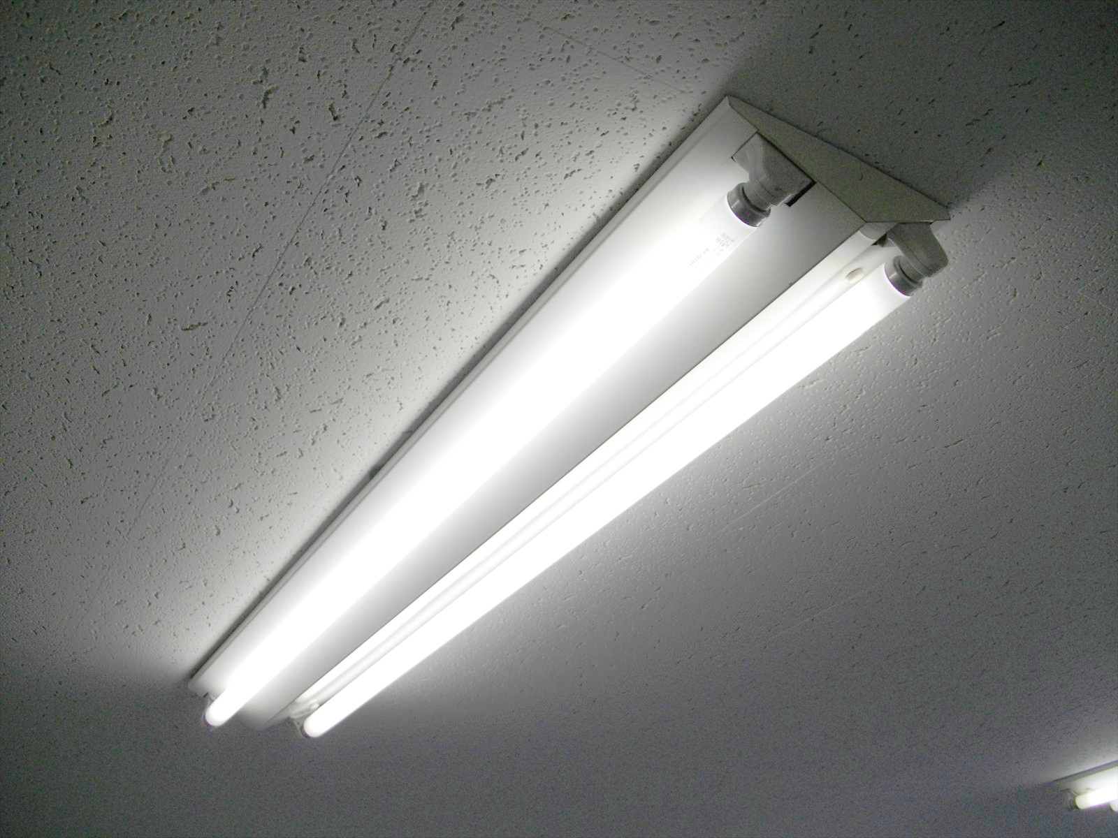 お部屋の雰囲気 画像10