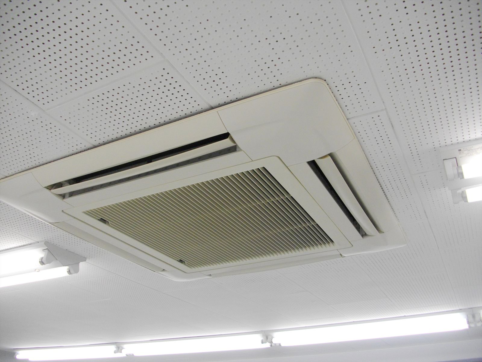お部屋の雰囲気 画像10