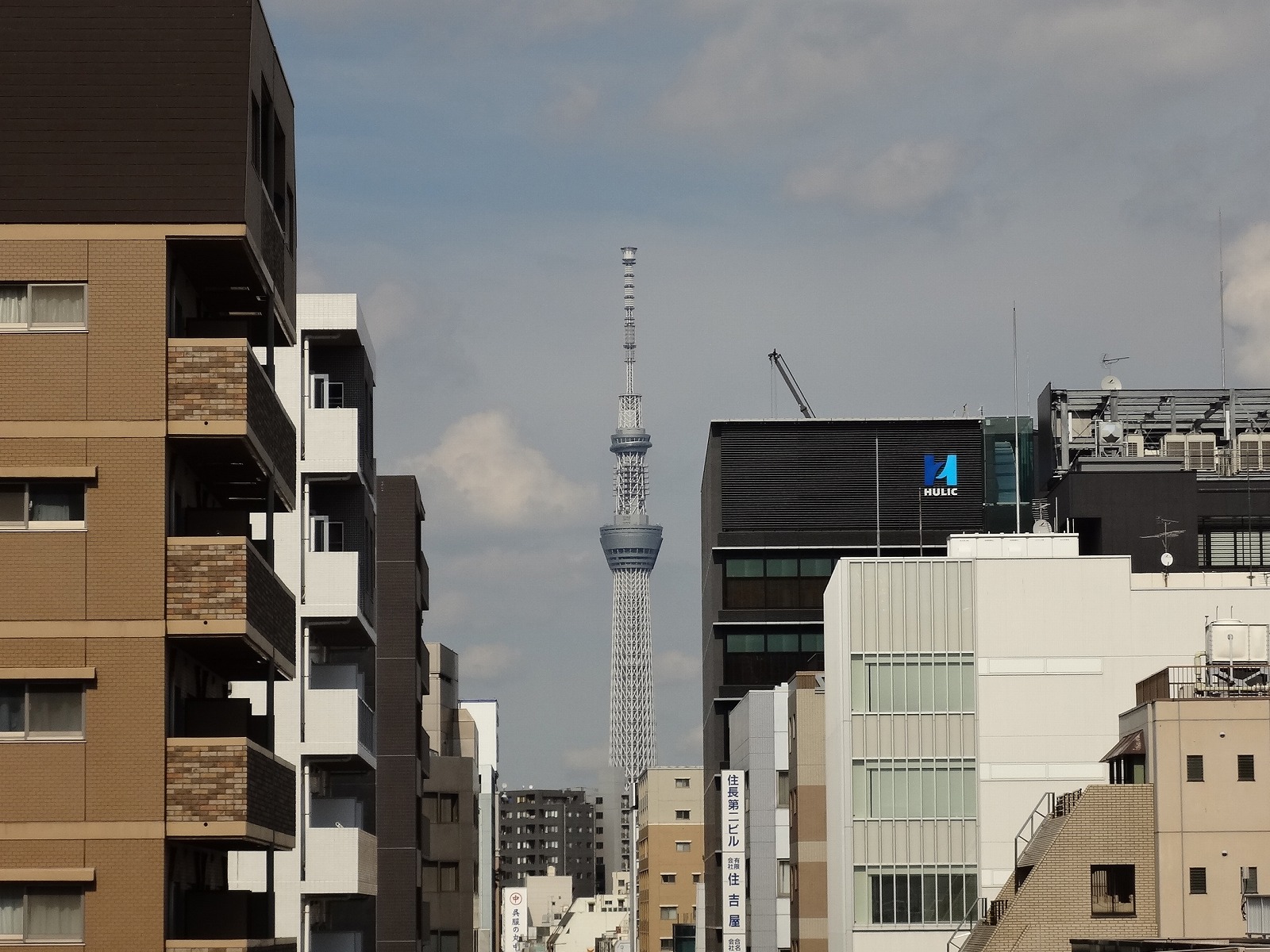 上層階からはスカイツリー