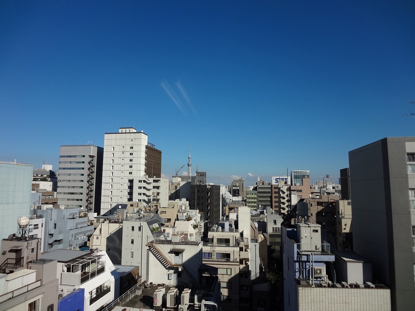 スカイツリーが見える眺望