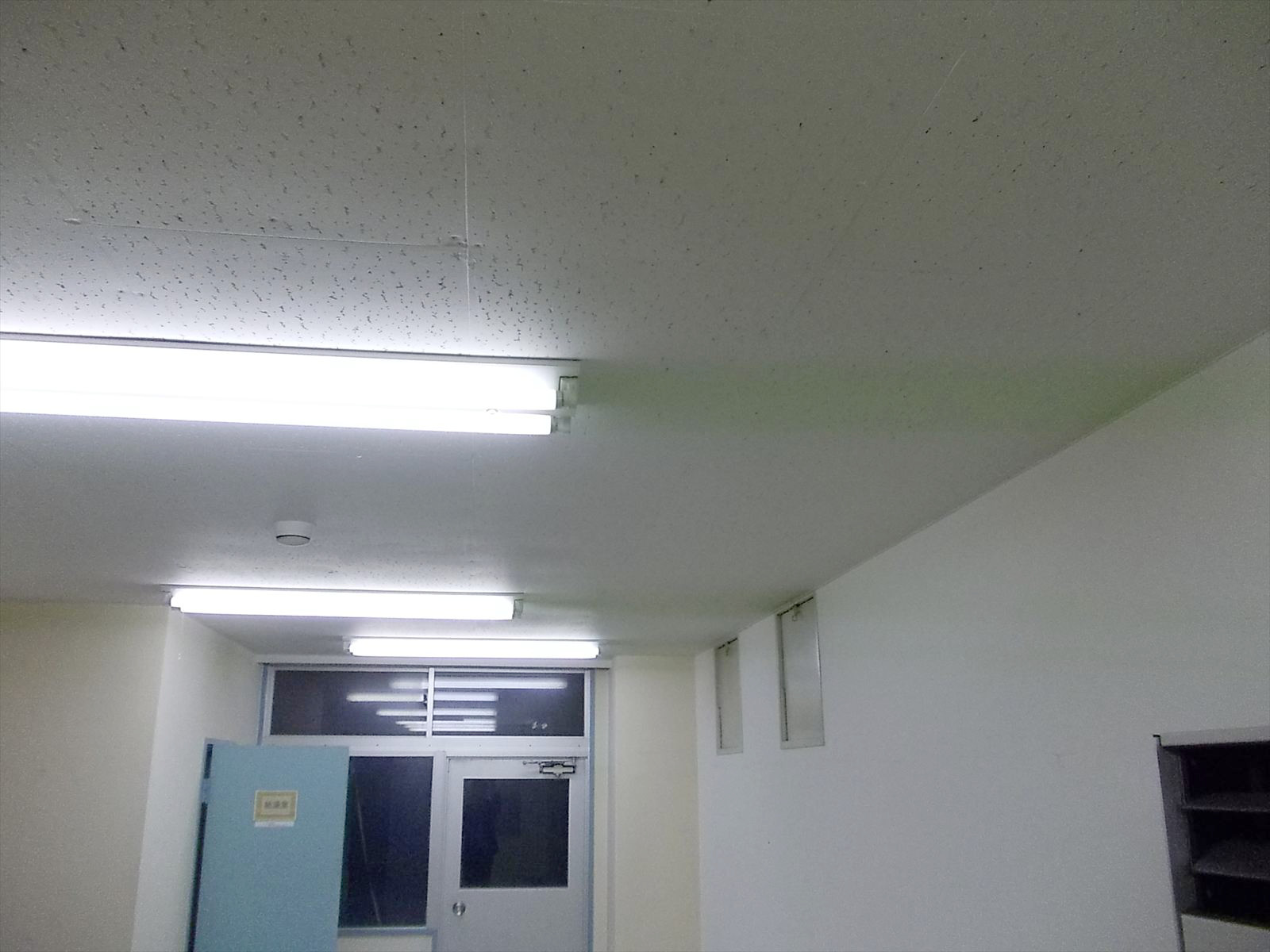 天井高は低め