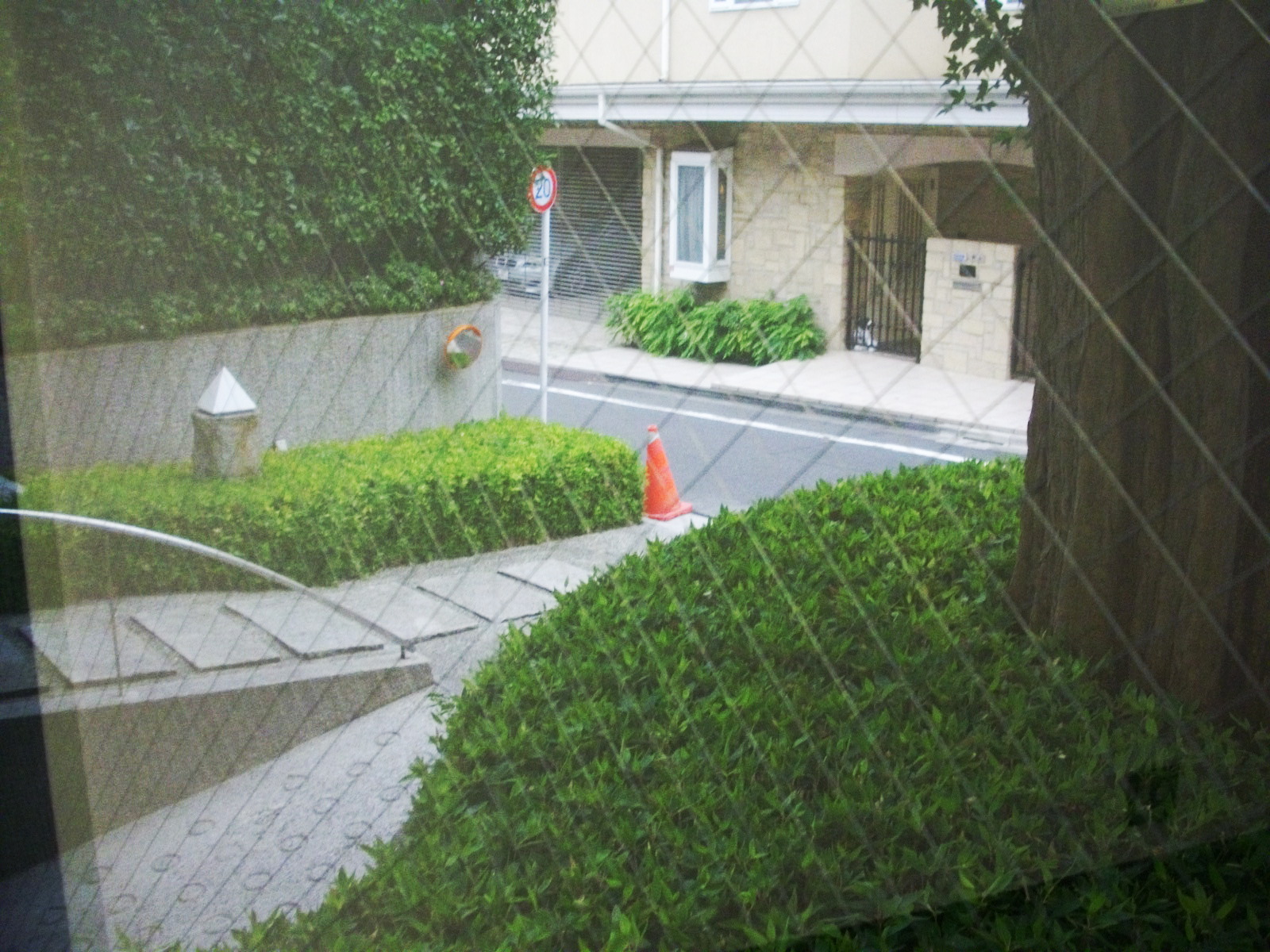 エントランス周りは緑が豊富