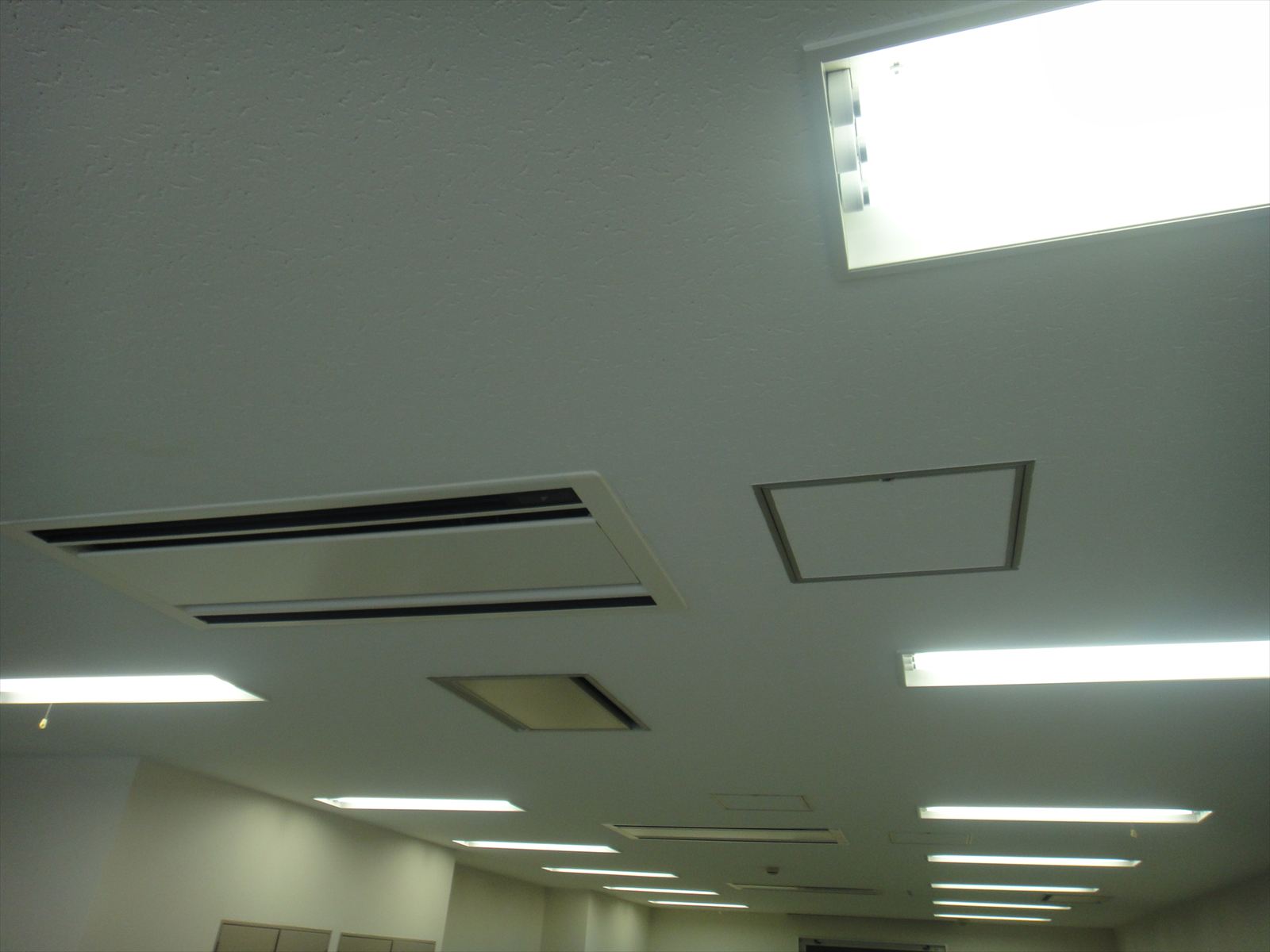 天井の様子