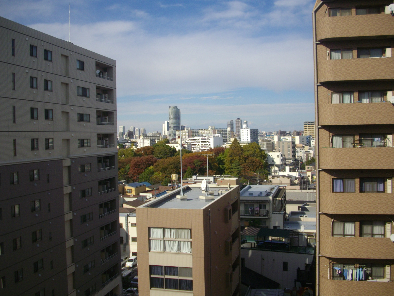 眺望