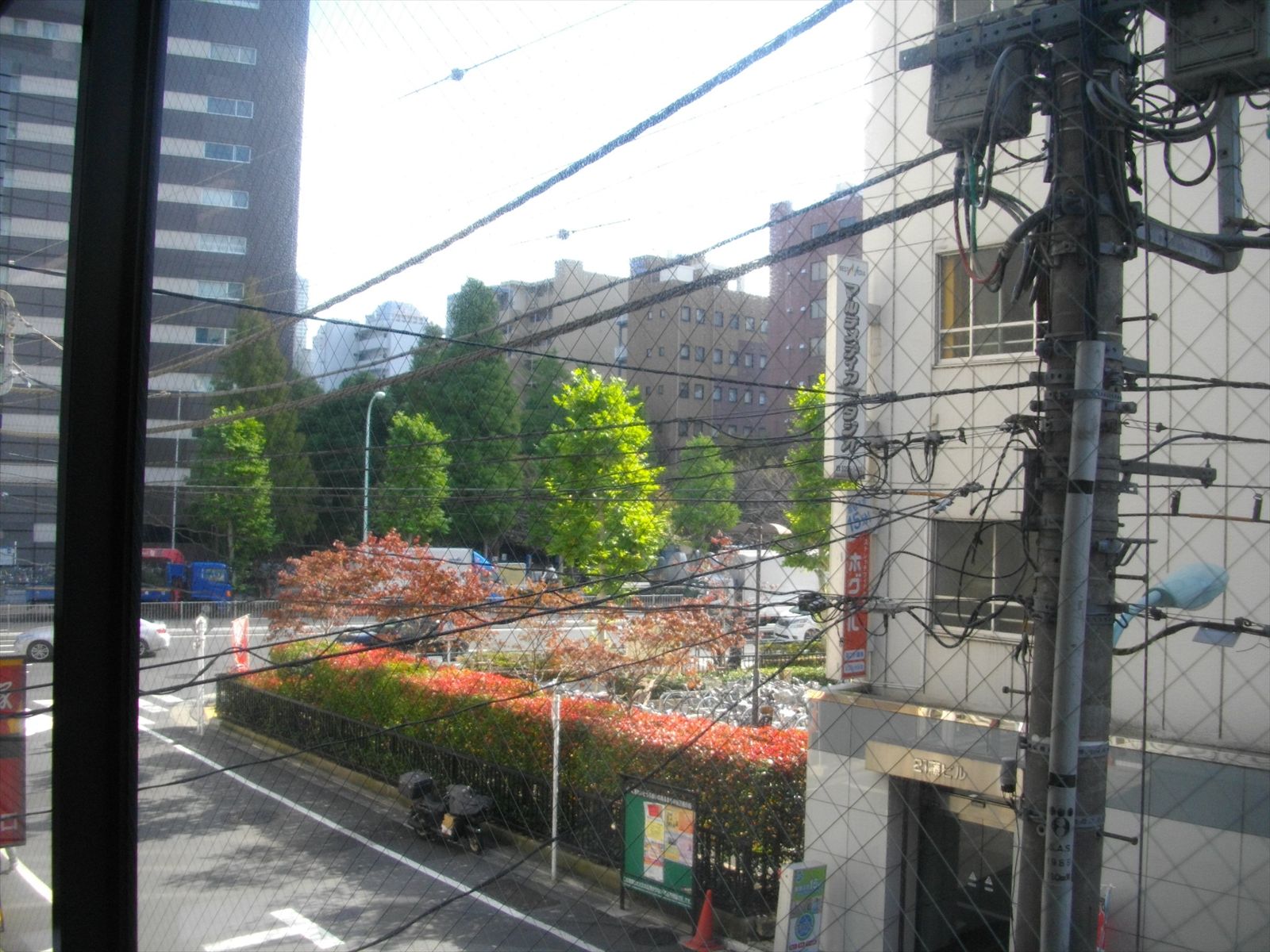 目前の通りを臨む眺望