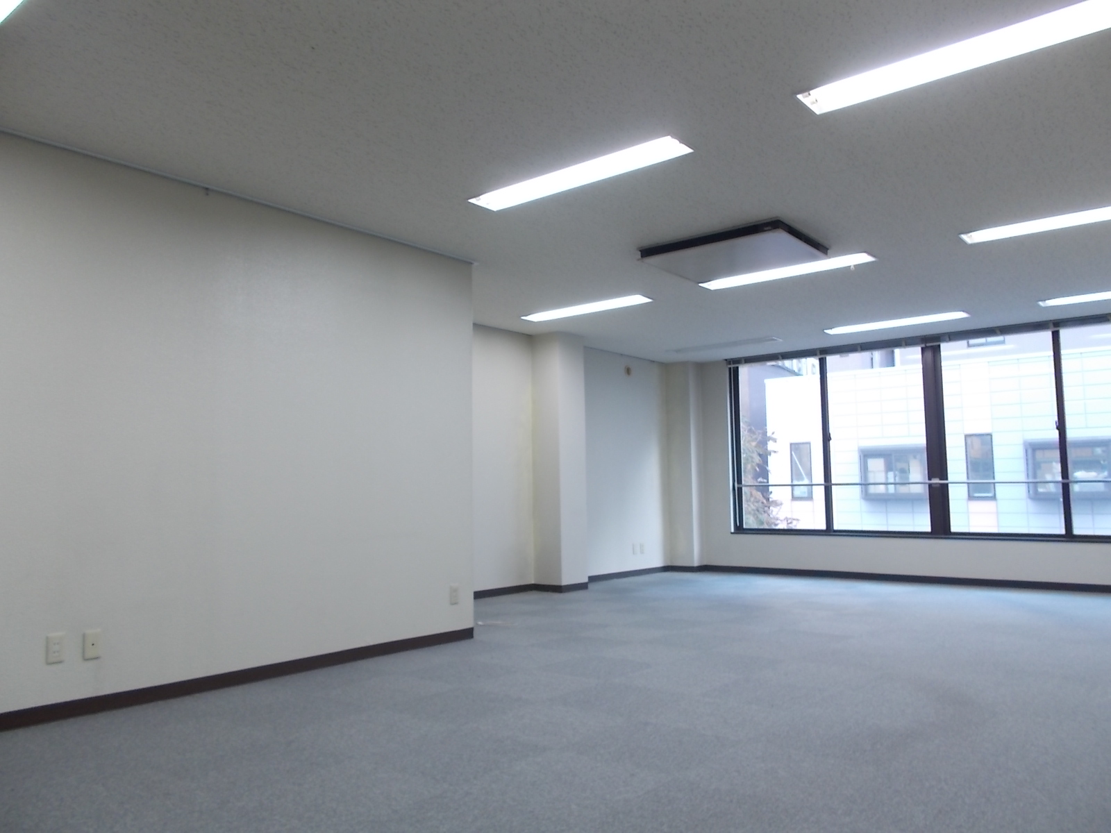 別角度の様子