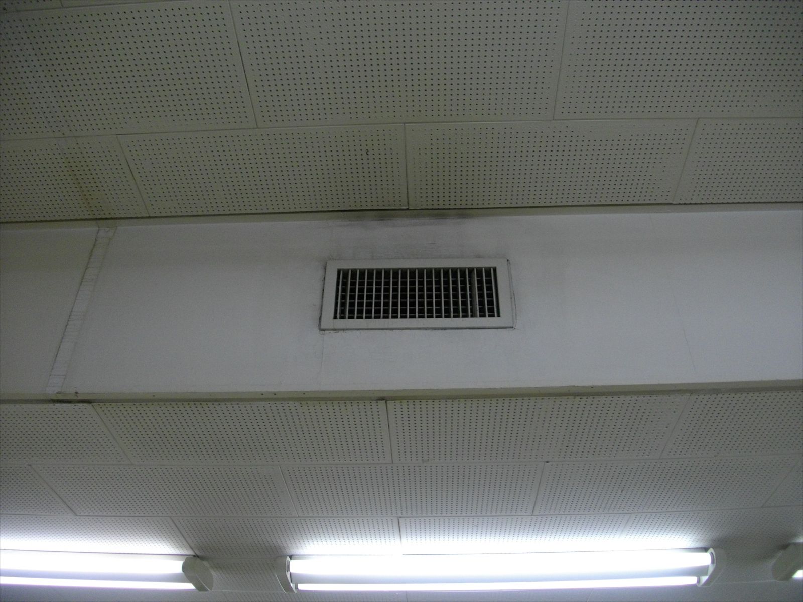 お部屋の雰囲気 画像8
