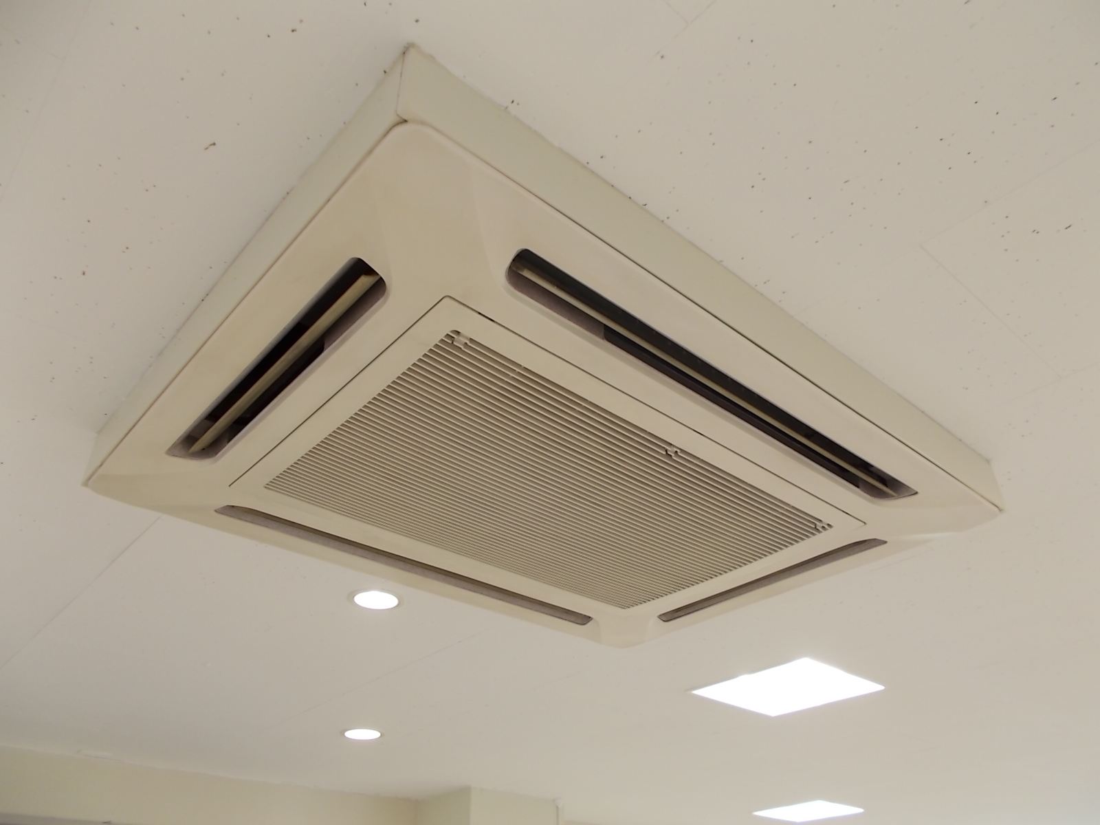 お部屋の雰囲気 画像8