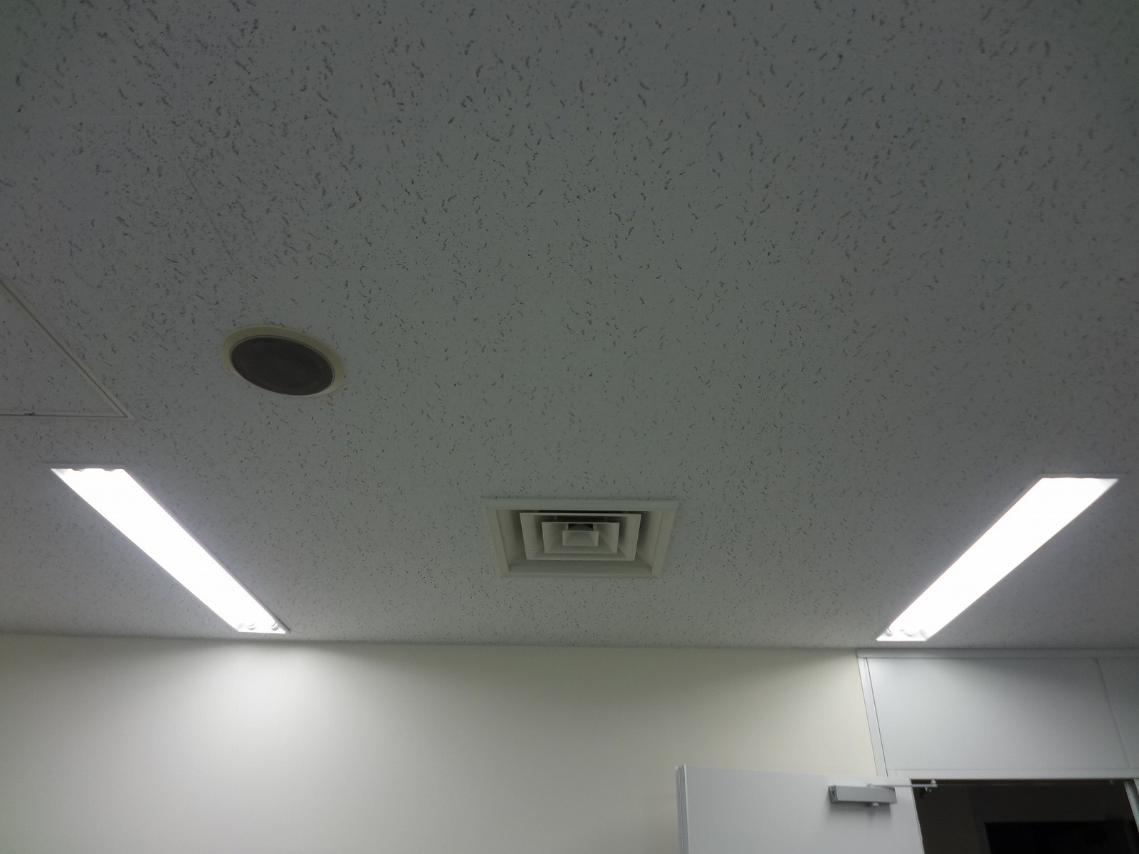 天井の様子