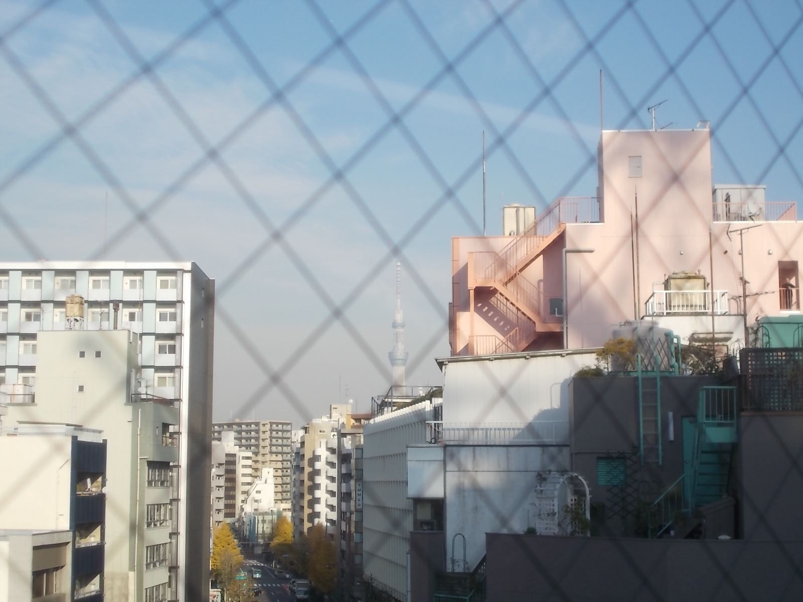スカイツリーを望む眺望