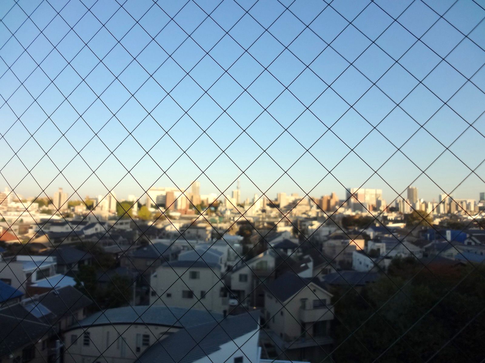 眺望