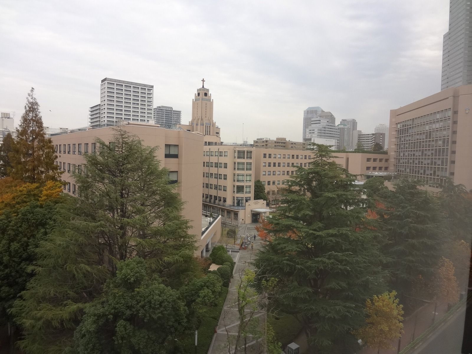 眺望