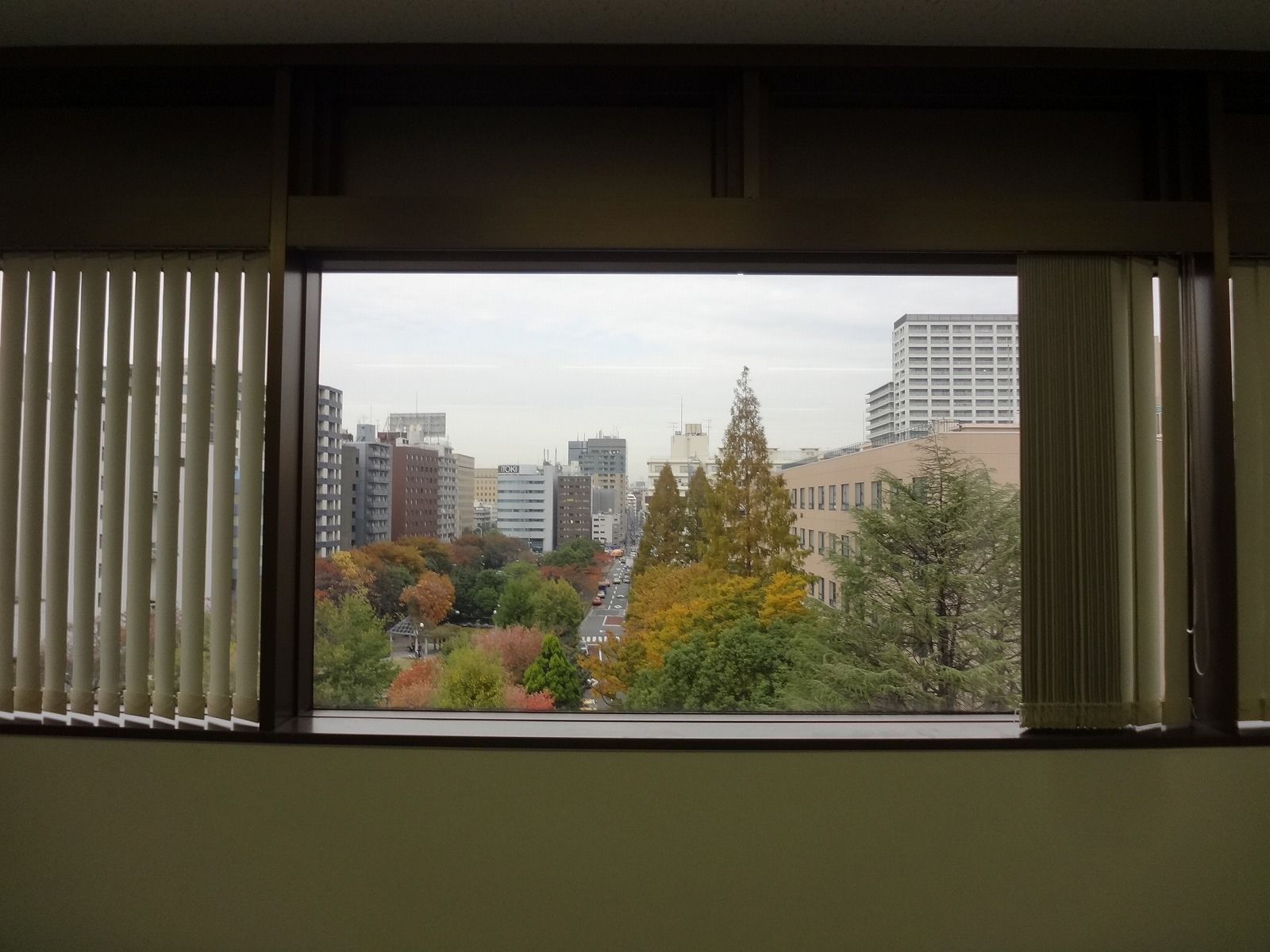 窓際の様子
