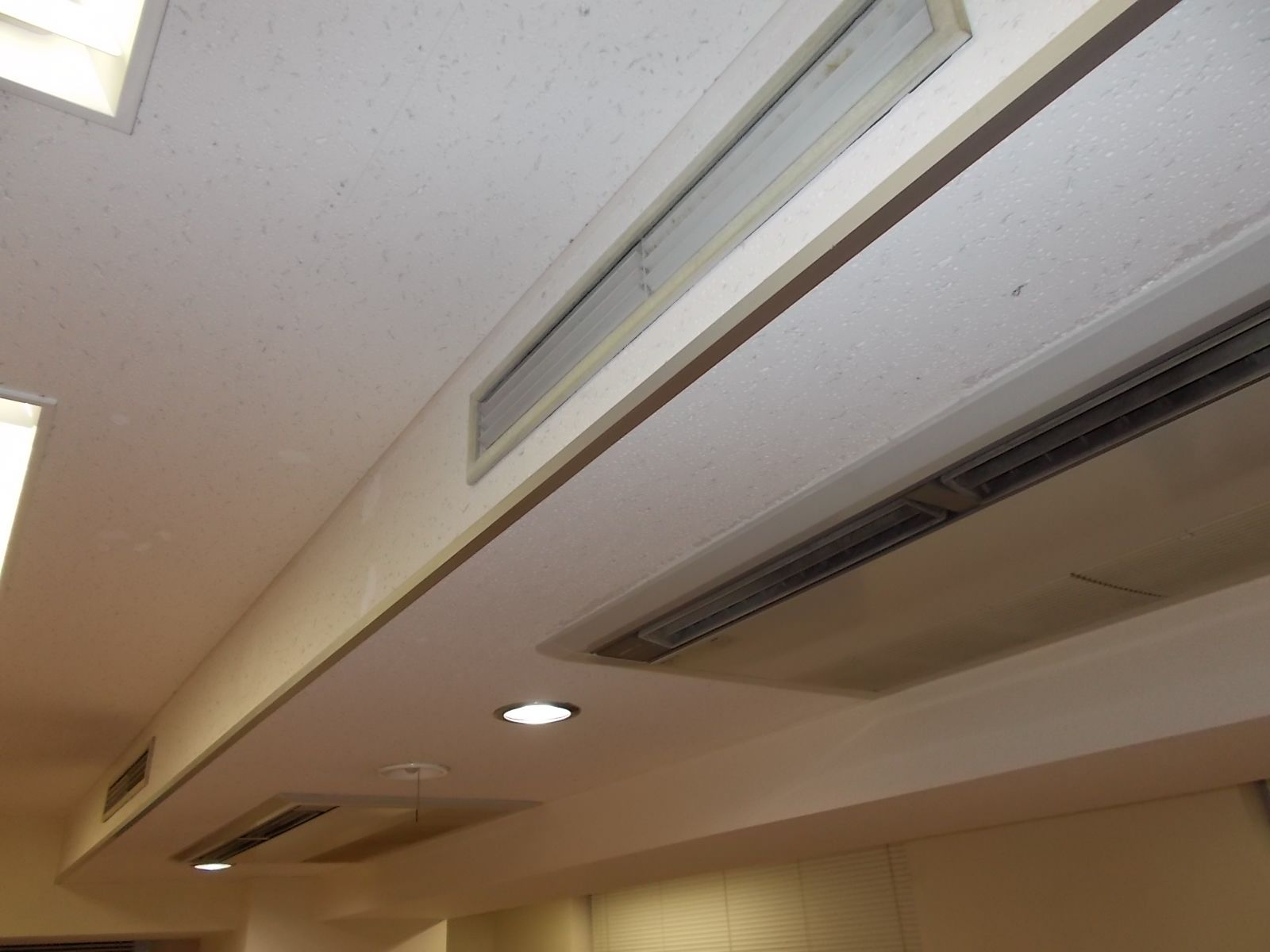 天井の様子