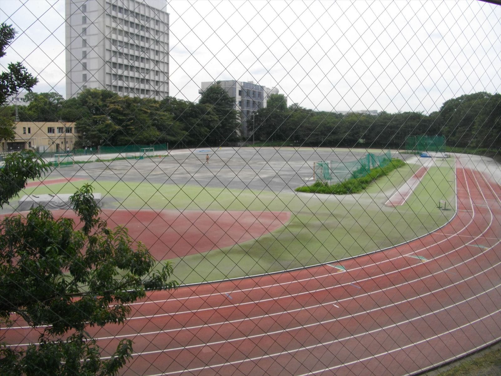 グランドが見える位置