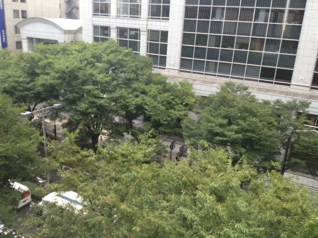 窓からの景色