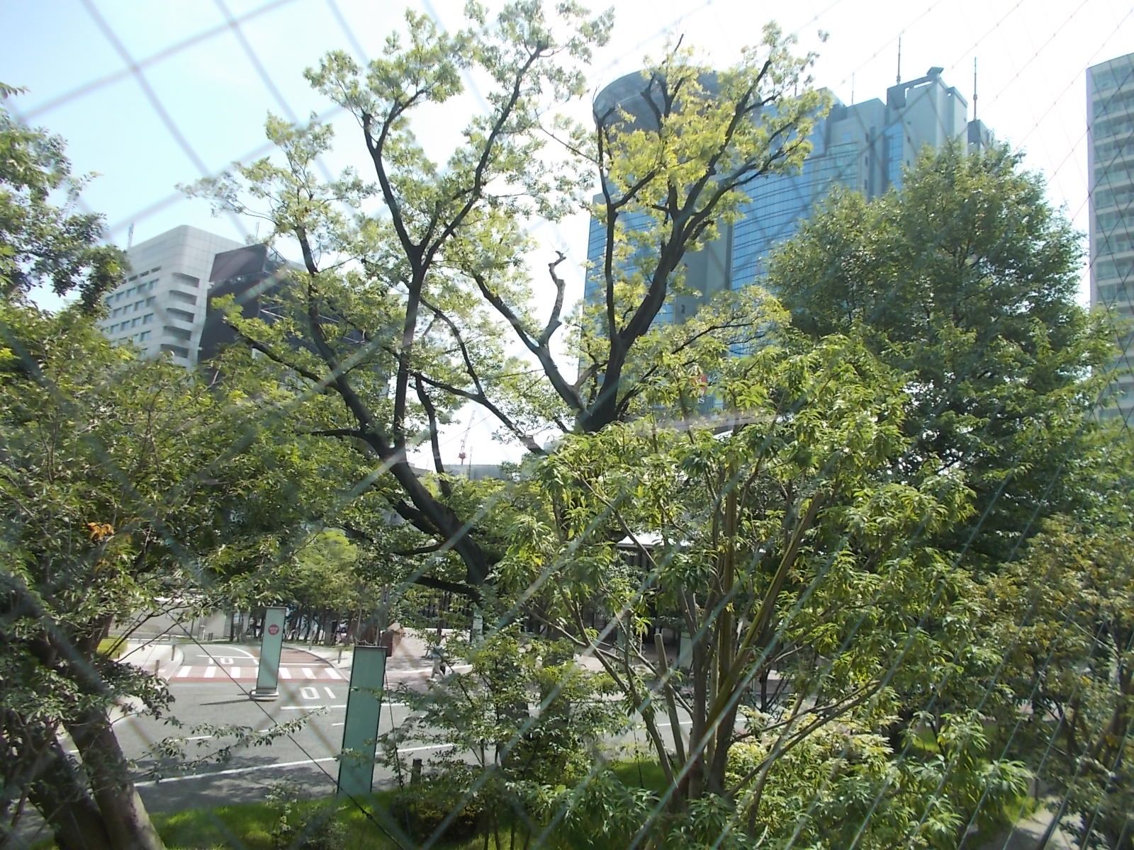 緑あふれる景観