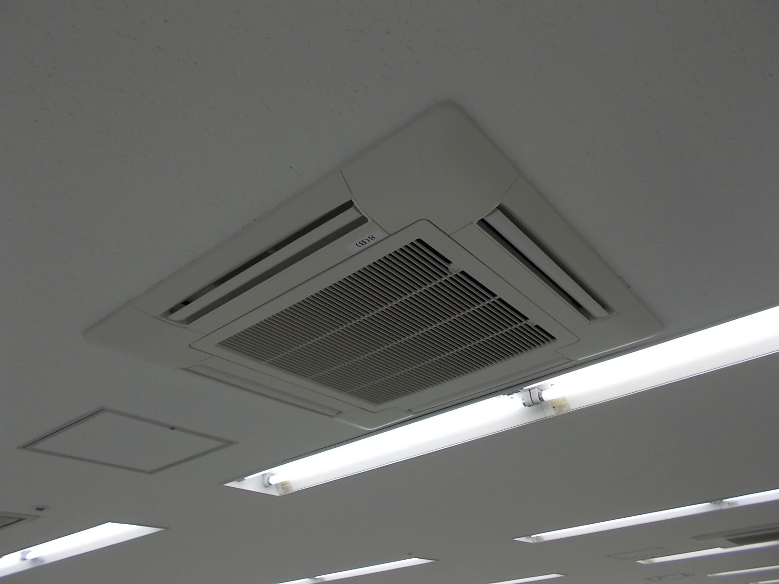 天井の様子