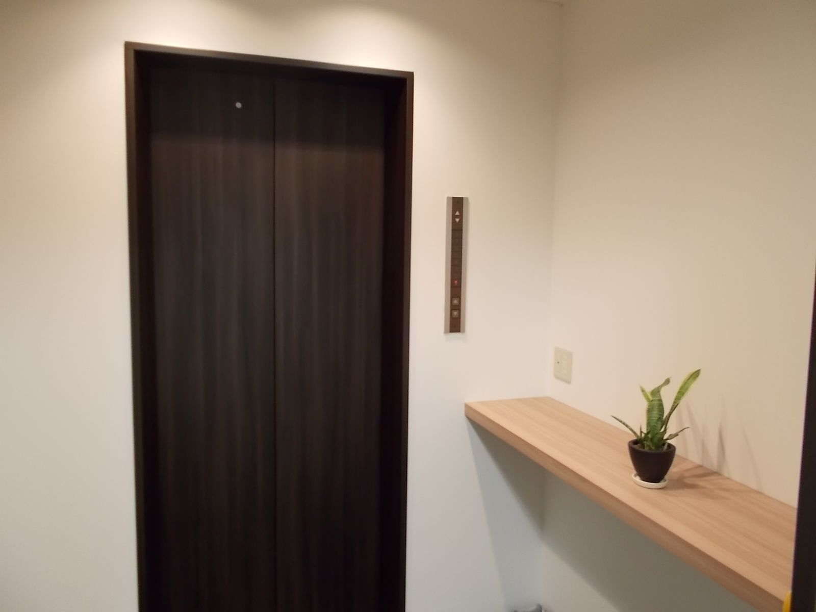 エレベーターホール