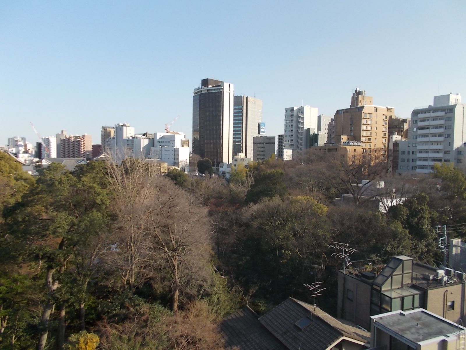 根津美術館の庭園が見える景観