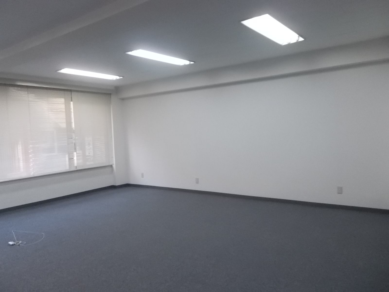別角度の様子