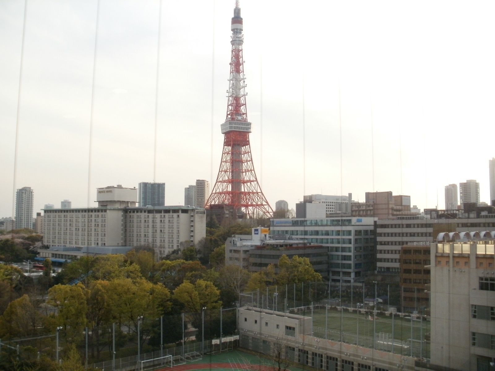 芝公園と東京タワーが見える眺望