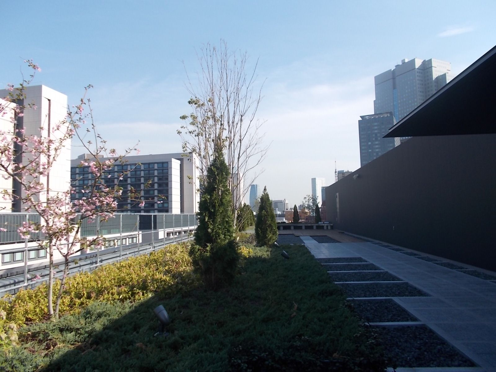 屋上庭園