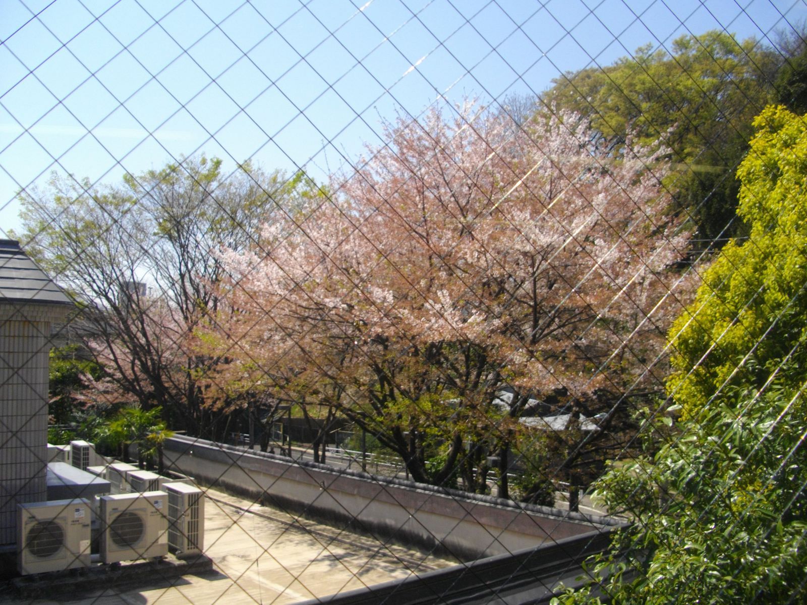 室内からの眺望