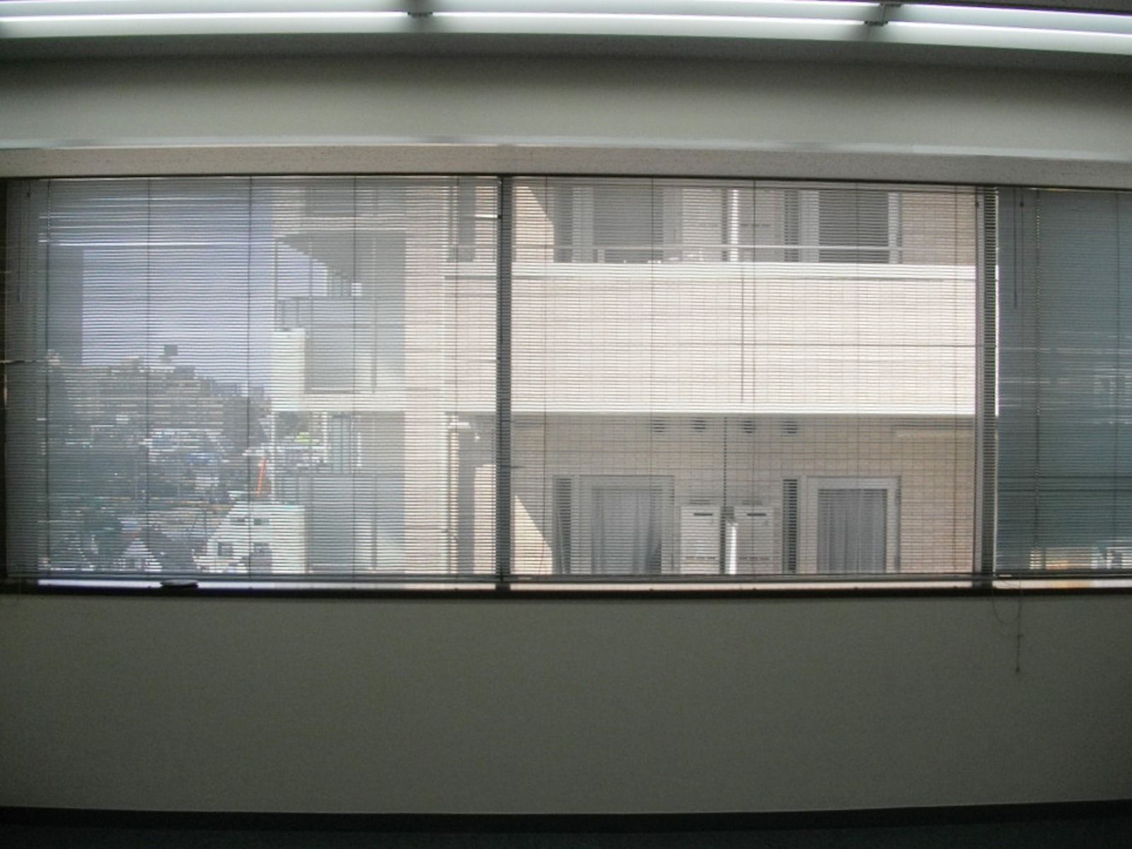 窓際の様子