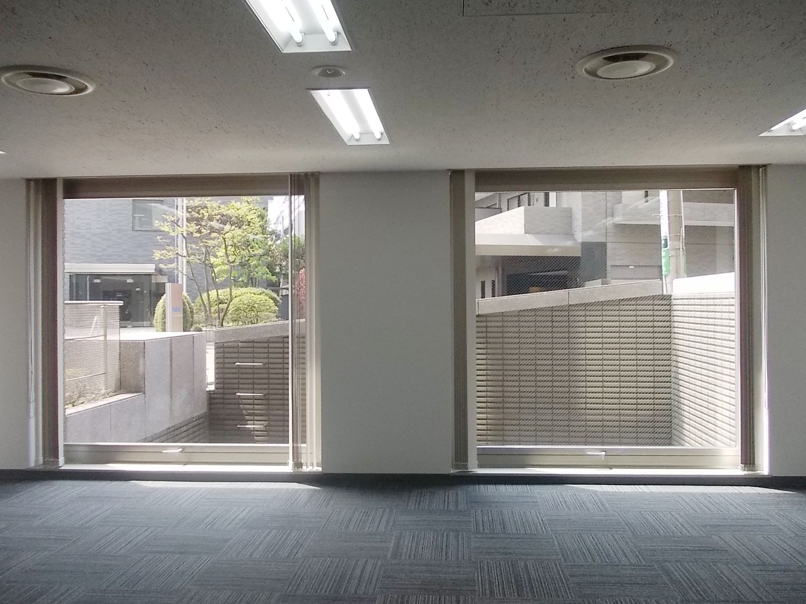 窓際の様子
