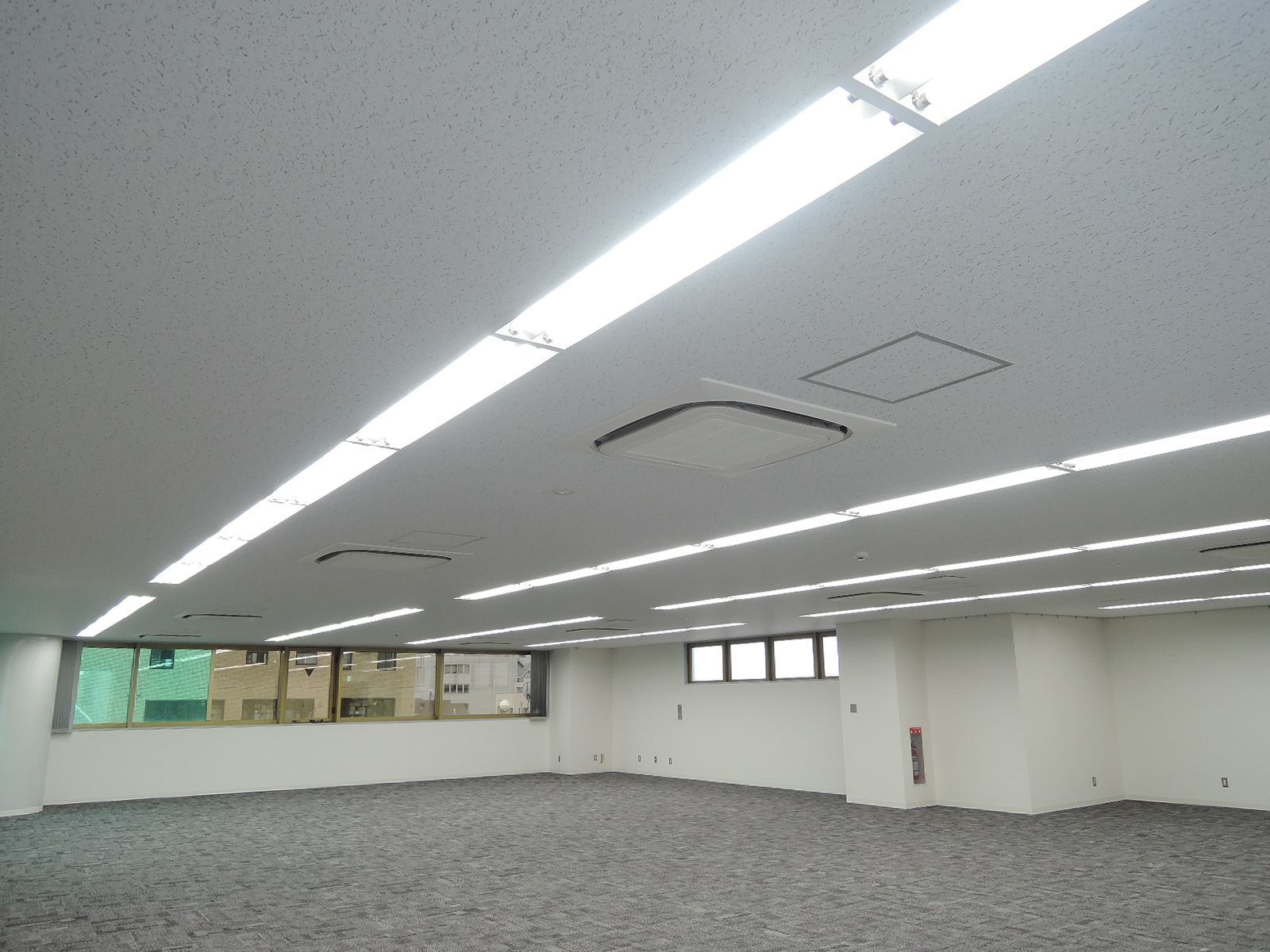 天井の様子