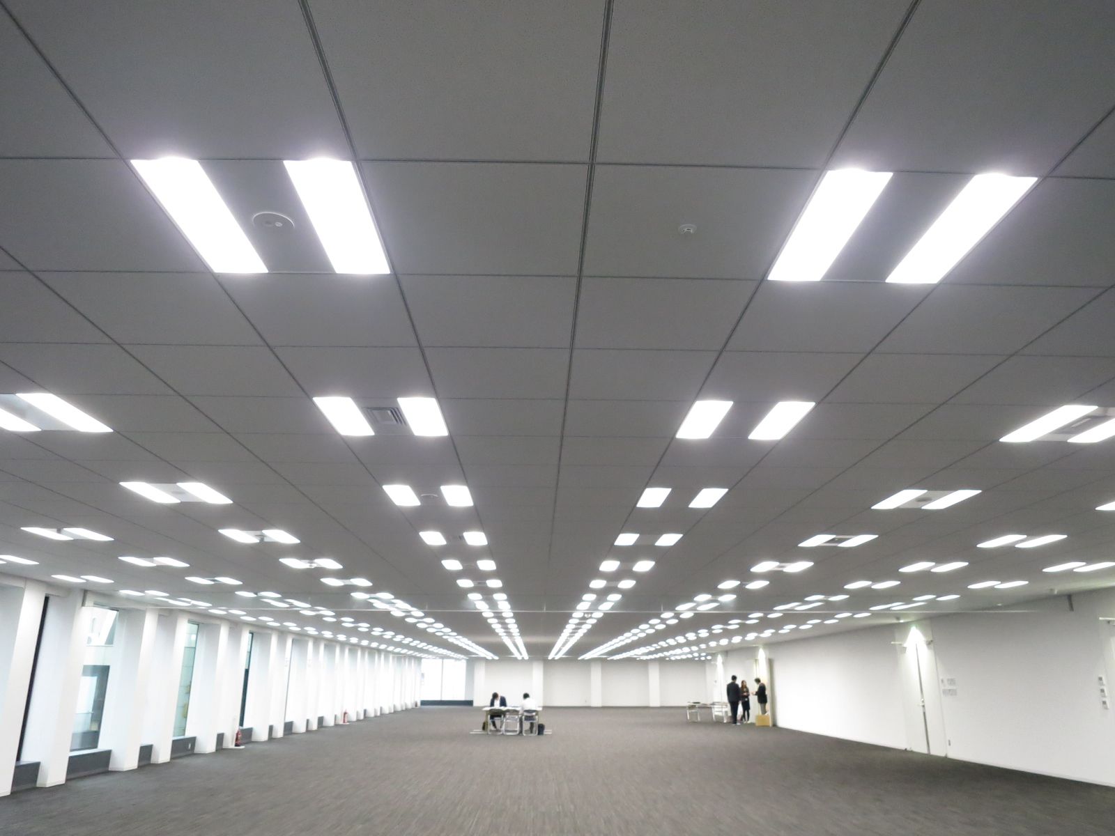 天井の様子