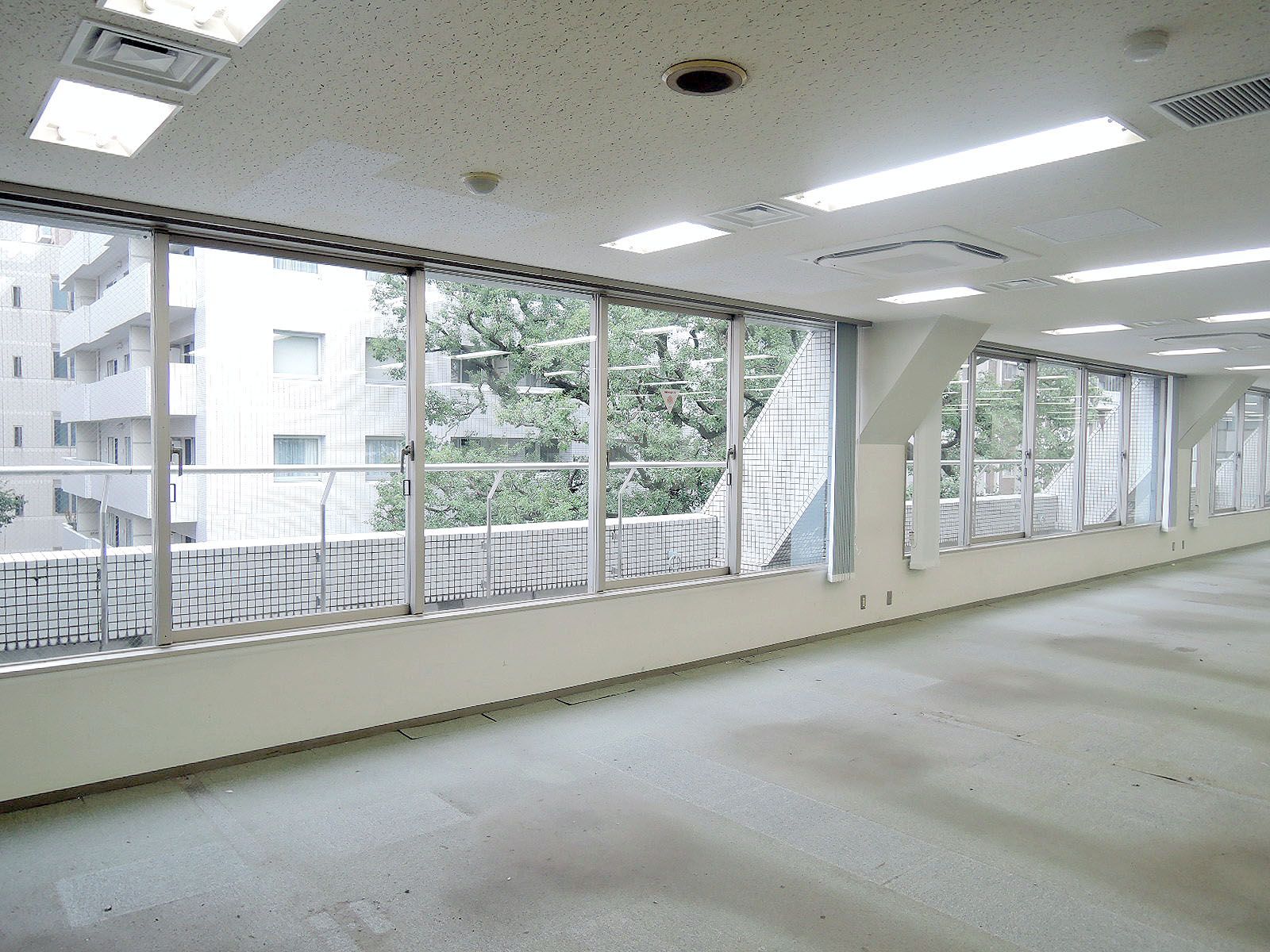 大きな窓面