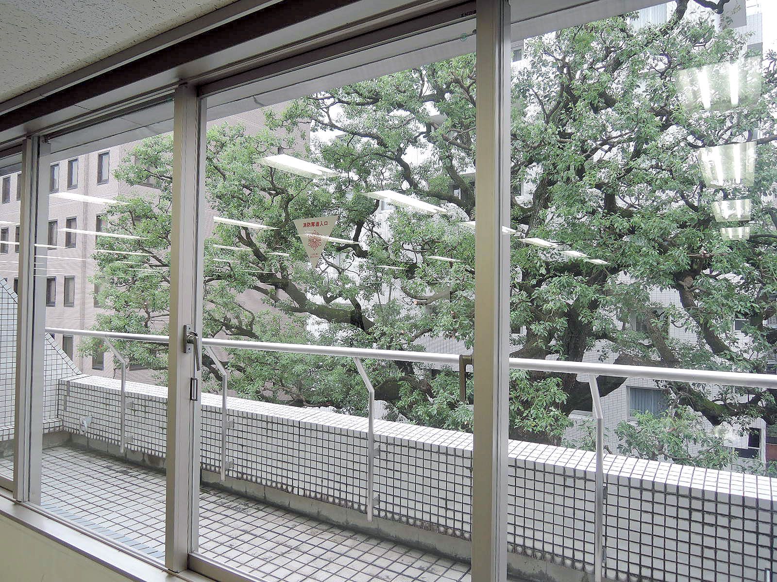 窓からの眺望