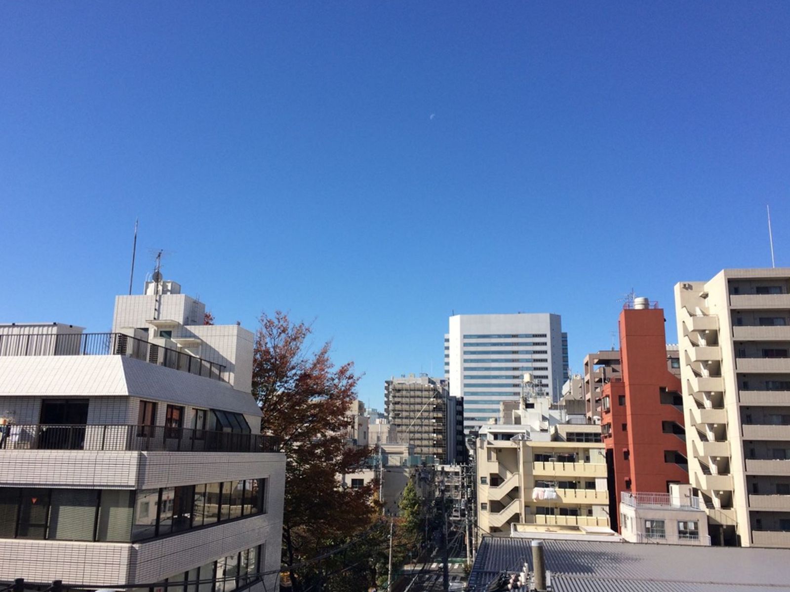 窓からの眺望