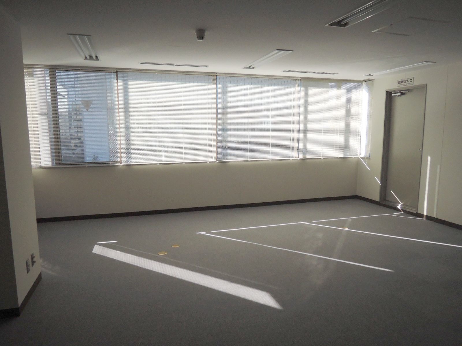 窓は大きく採光も十分