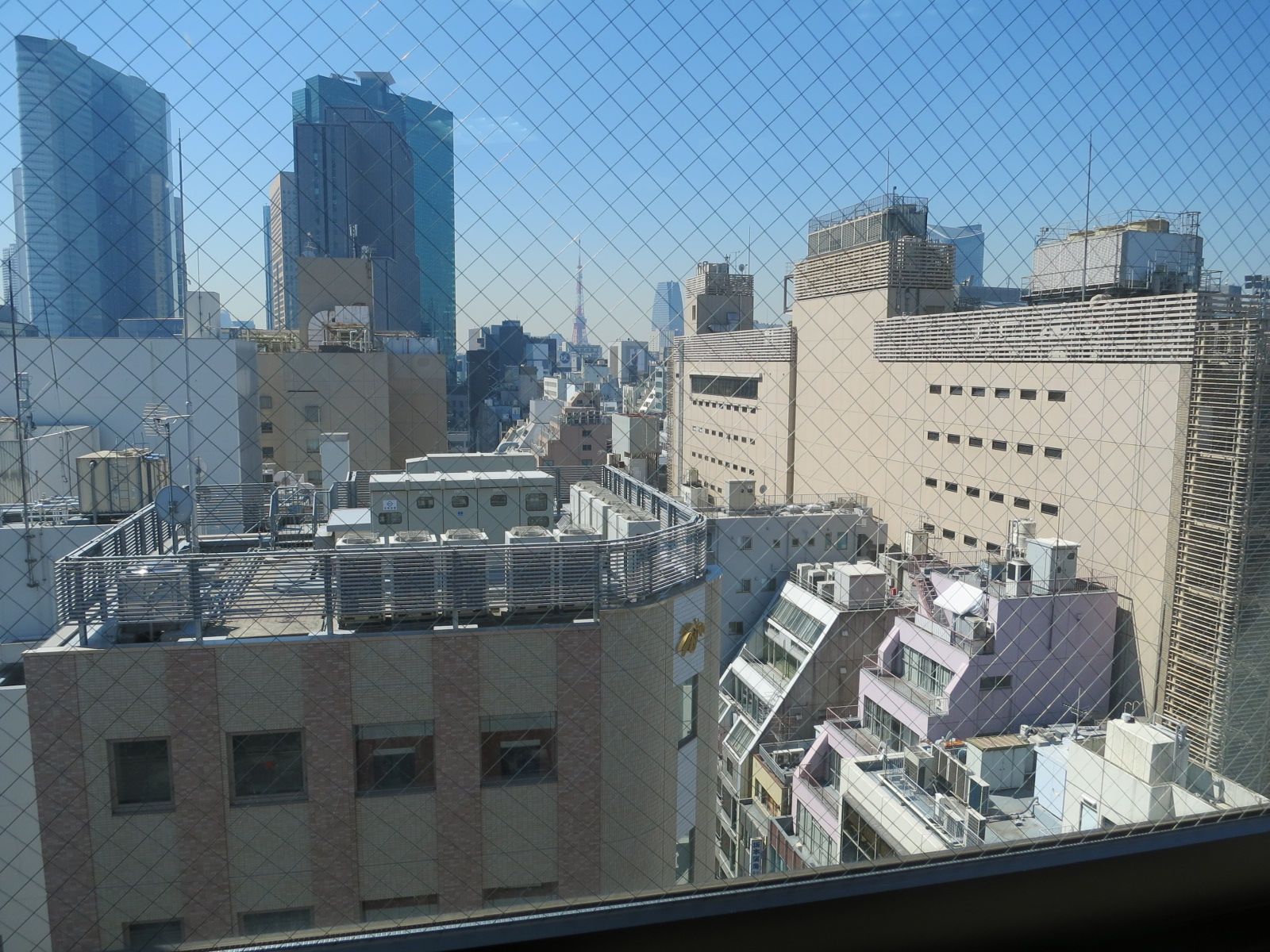 上層階からの眺望