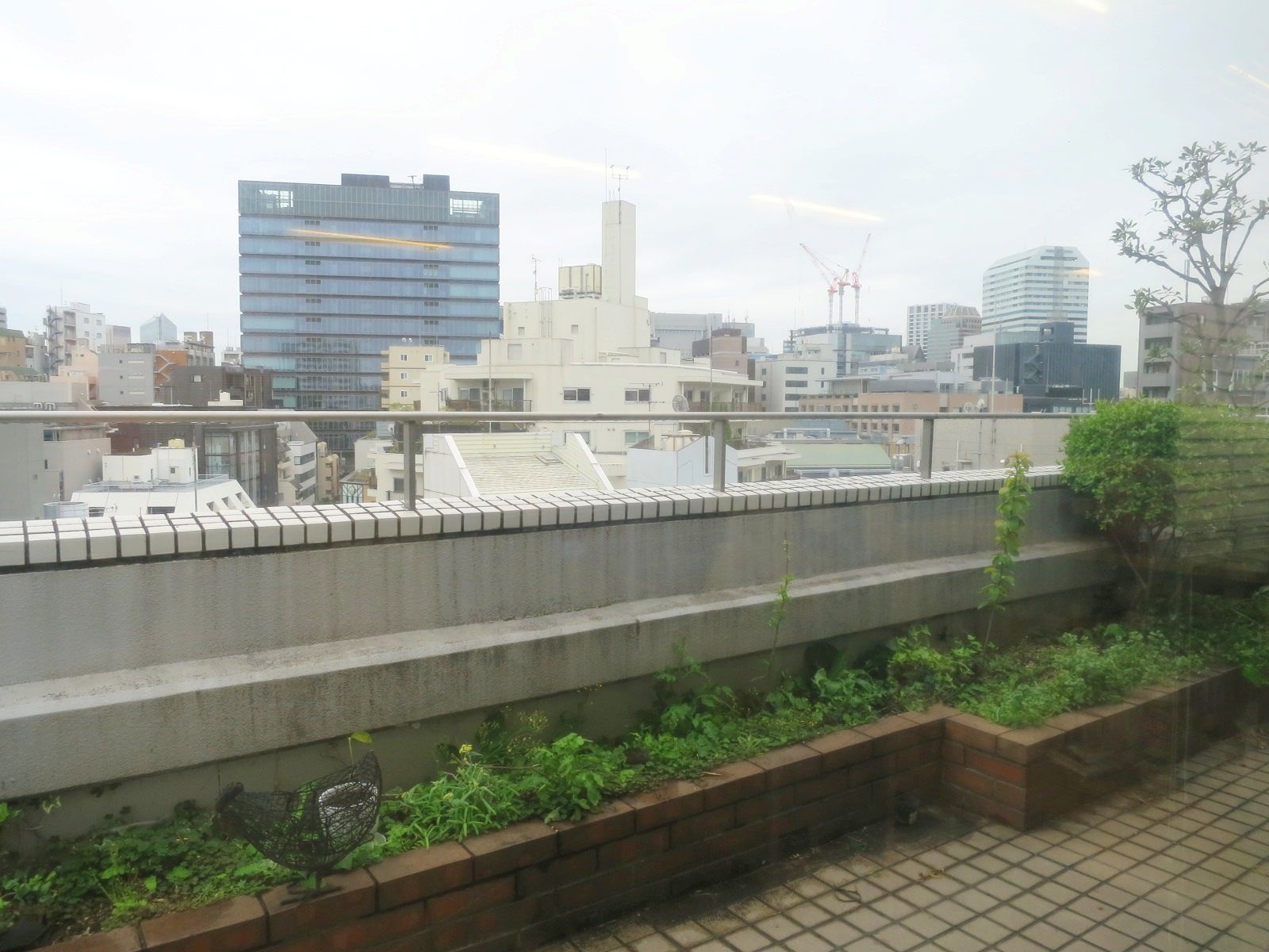 屋上