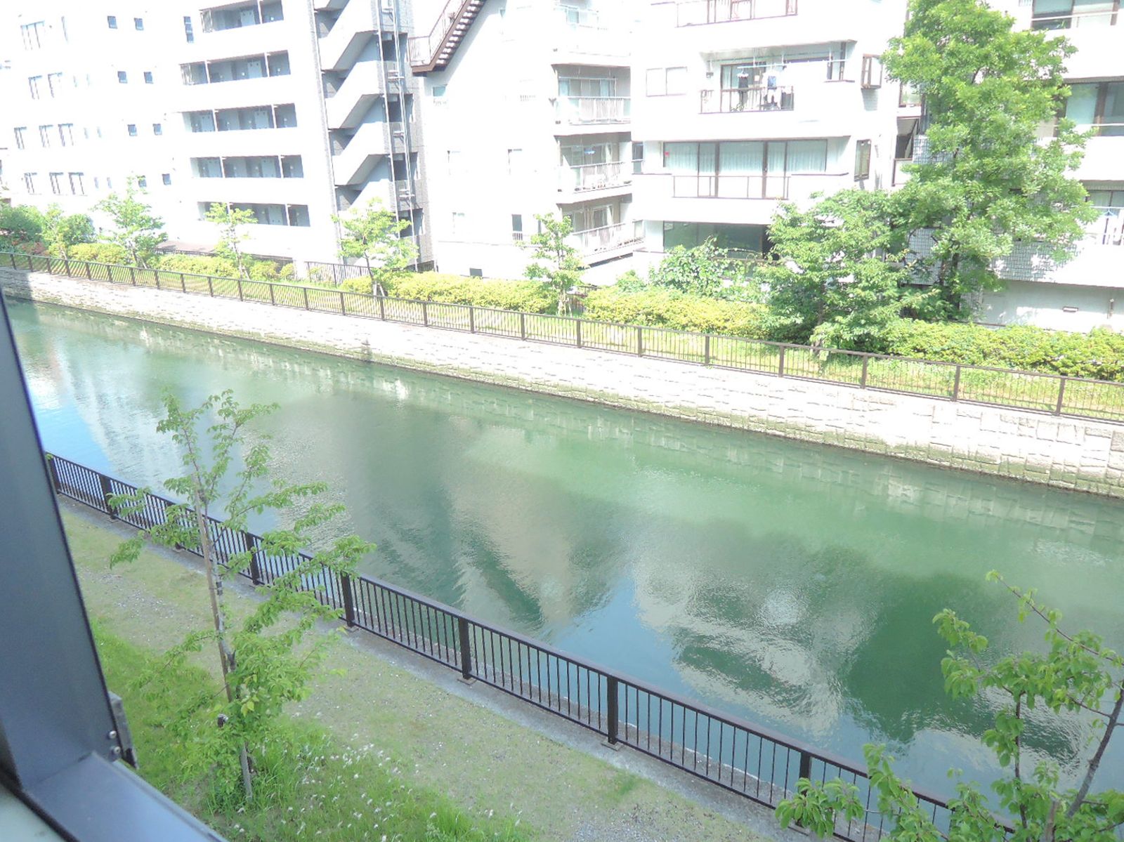 窓からの眺望