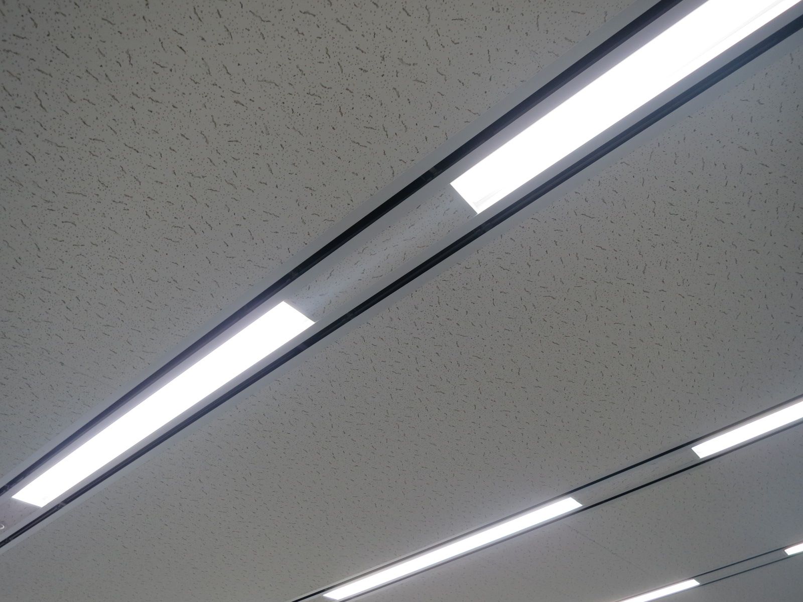 照明の様子