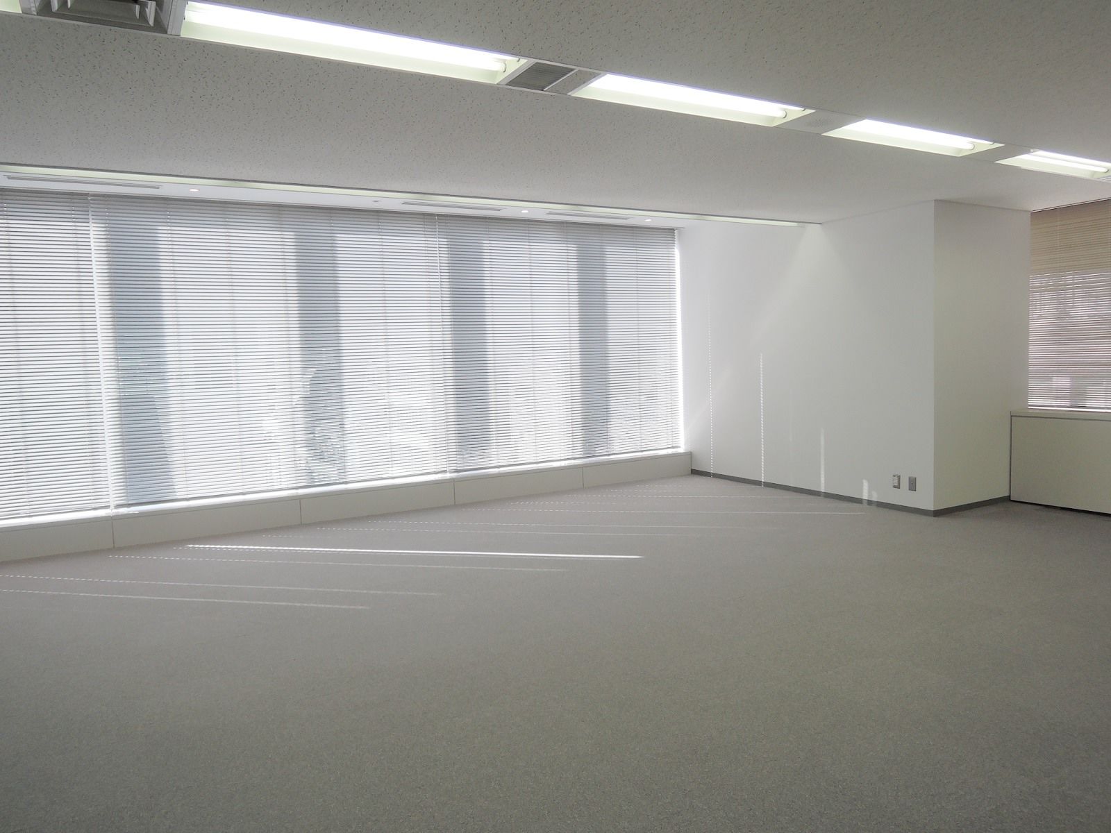 窓際は採光十分