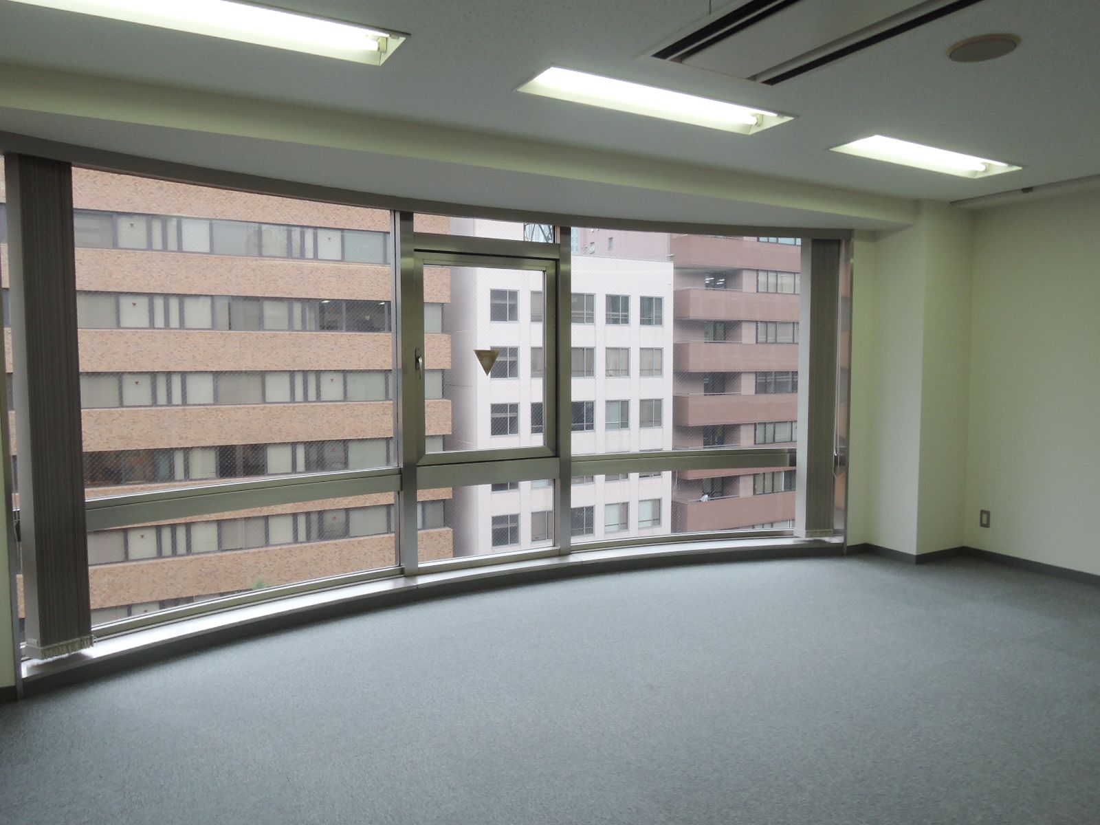 窓際は採光良好