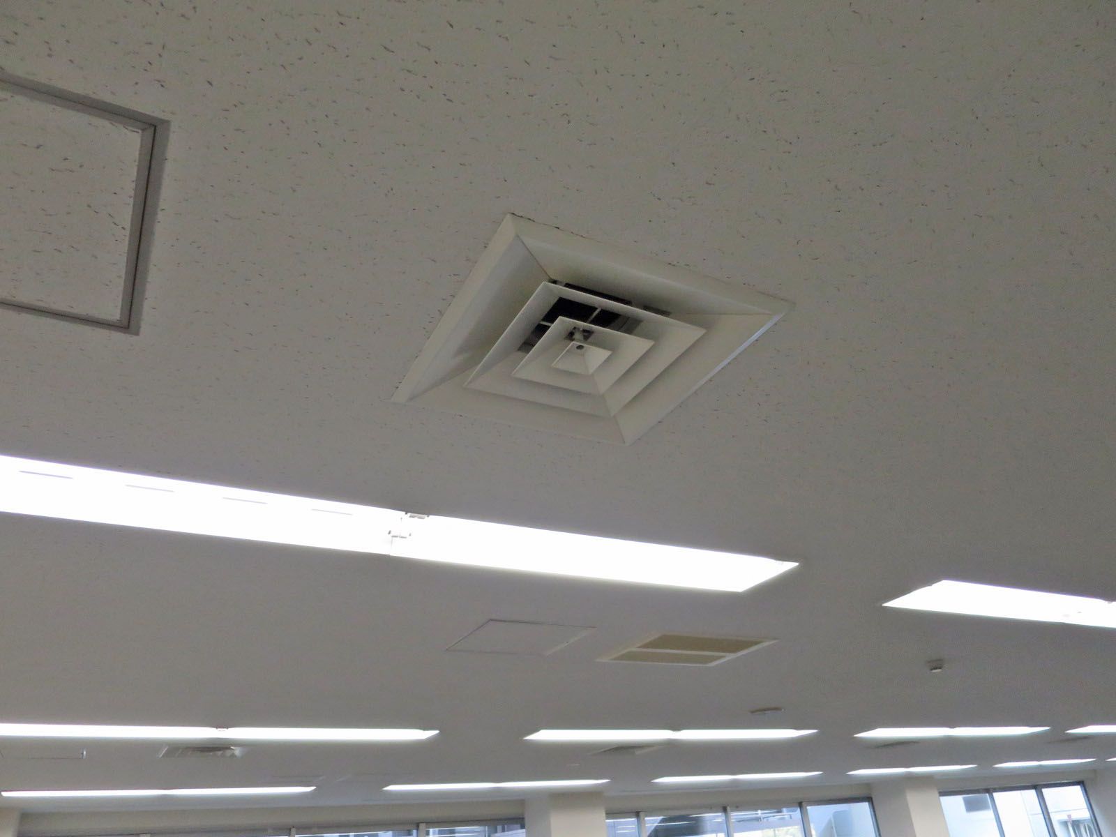 天井の様子