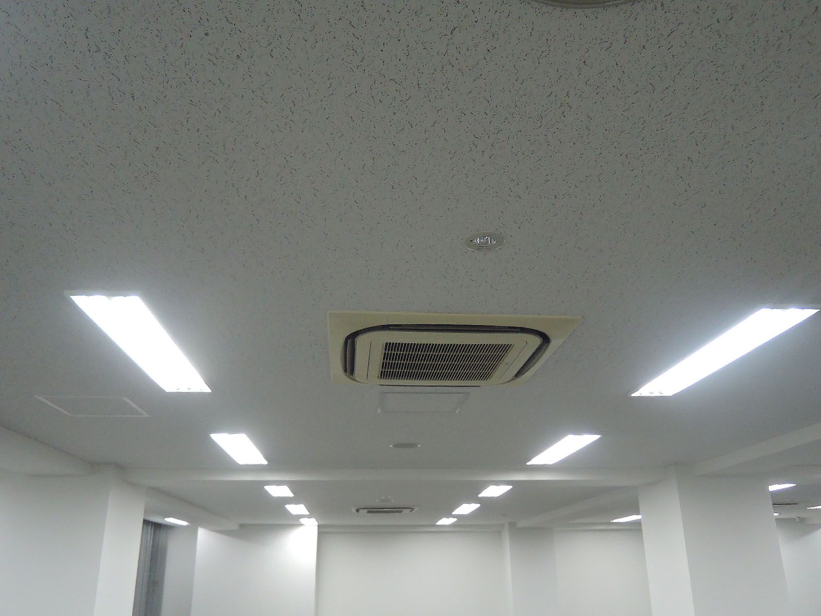 天井の様子